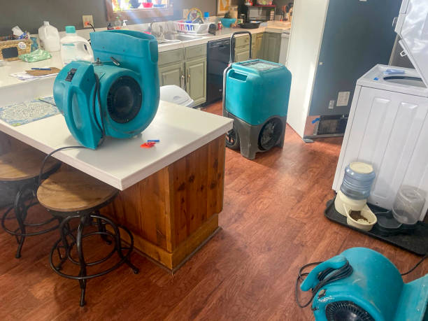 Best Professional water damage repair  in Weslaco, TX