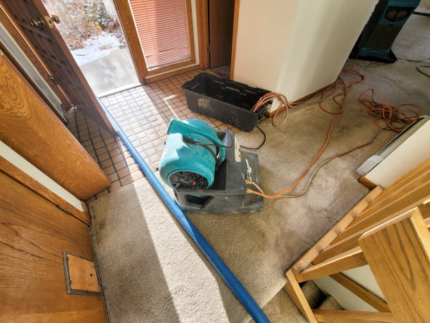 24/7 water damage repair in Weslaco, TX