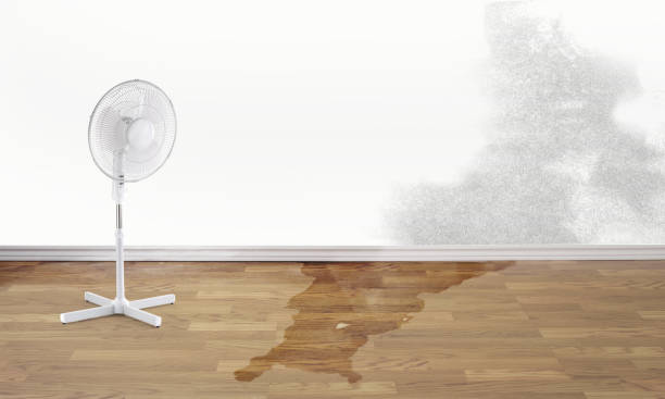 Best Water damage restoration near me  in Weslaco, TX
