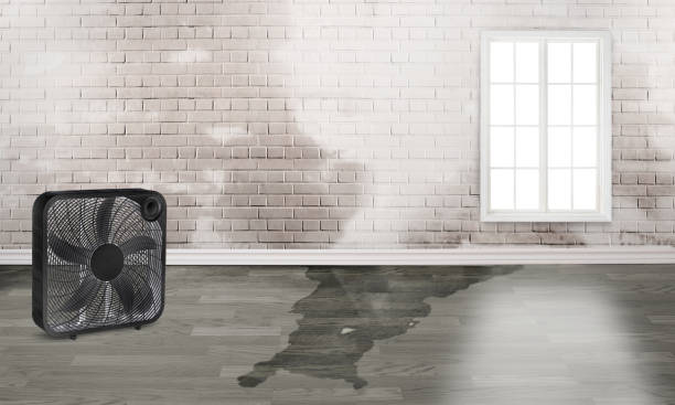 Water damage restoration process in Weslaco, TX