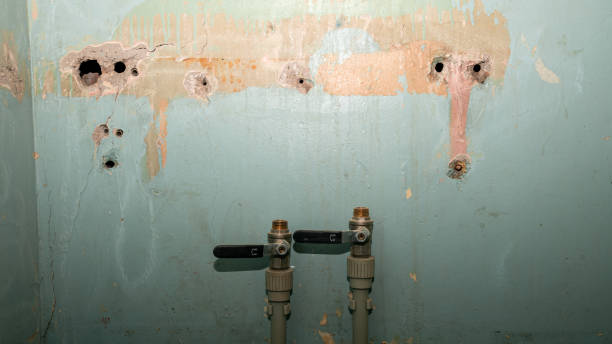 Best Commercial water damage restoration  in Weslaco, TX