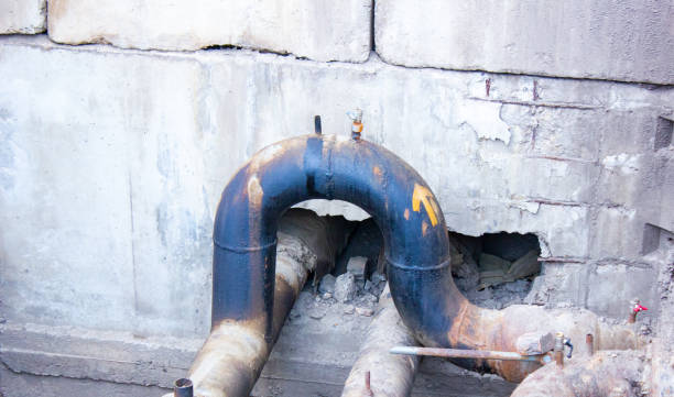 Best Flood restoration services  in Weslaco, TX